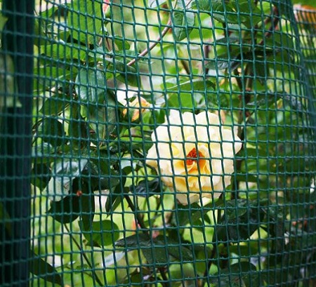 MALLA CERCAMIENTO PLASTICO - CUADRADA - Imagen 3